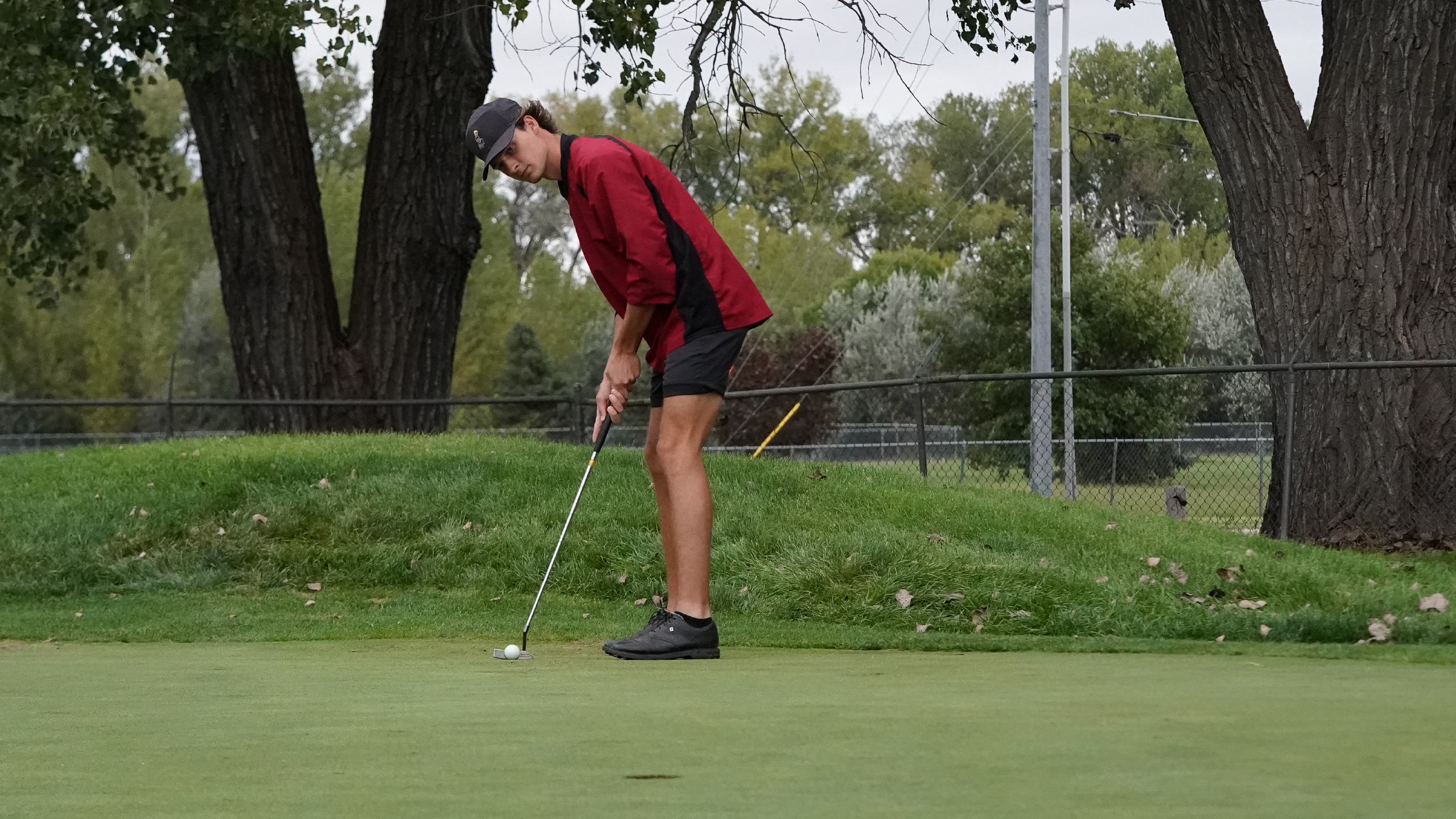 Knights finish fifth at Northeastern Tournament